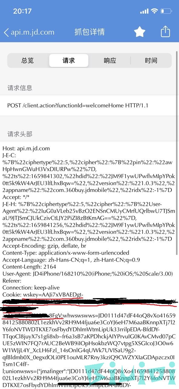 手机Wskey抓包结果